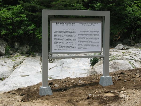 울진 소광리 황장봉 계표석 