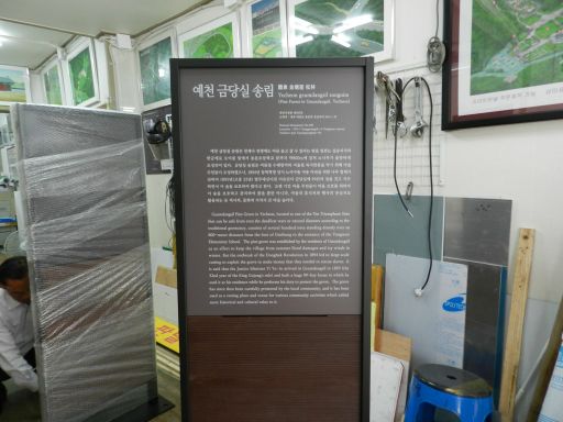 예천금당실송림